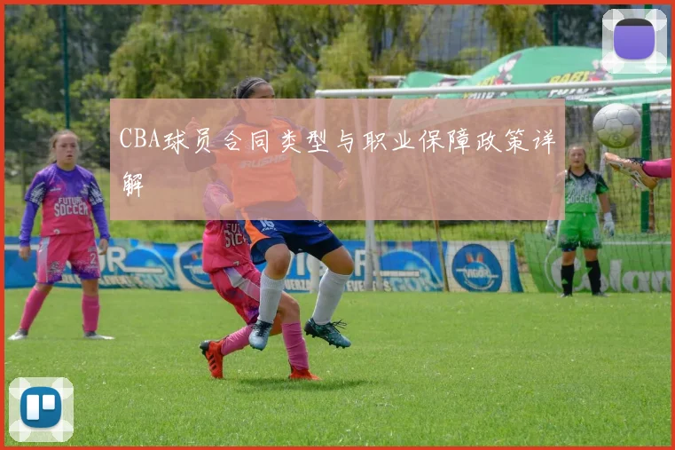 CBA球员合同类型与职业保障政策详解