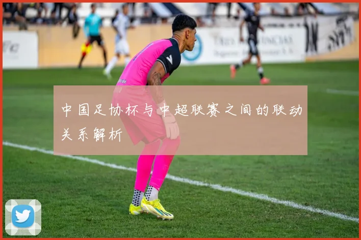 中国足协杯与中超联赛之间的联动关系解析