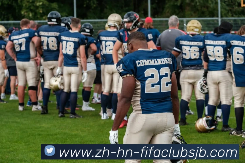 多媒体互动体验