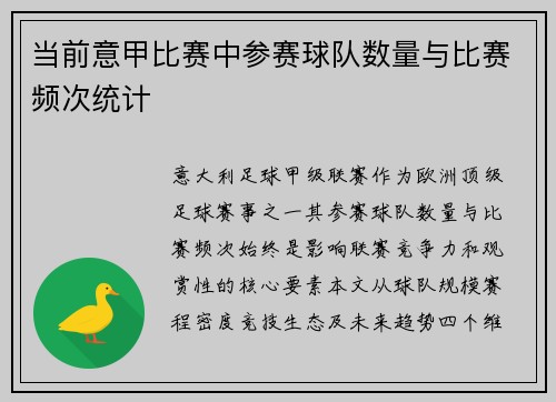 当前意甲比赛中参赛球队数量与比赛频次统计