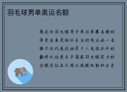 羽毛球男单奥运名额